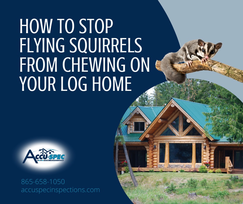 Accu-Spec Inspection Services How To Stop Flying Squirrels From Chewing On Your Log Home