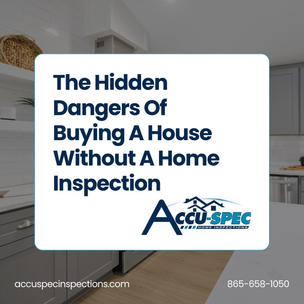 Accu-Spec Inspection Services, PC The Hidden Dangers Of Buying A House Without A Home Inspection
