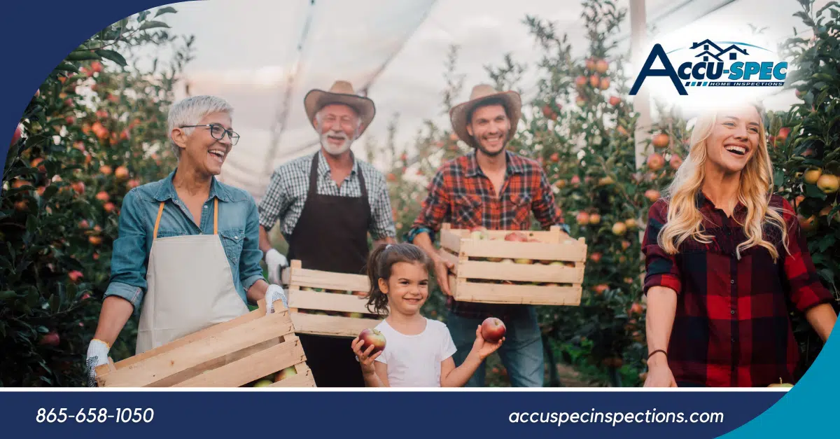10 Outdoor Fall Activities to Strengthen Family Bonds and Make Memories