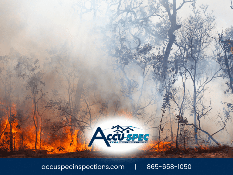 Wildfire burning through wooded area with heavy smoke in Gatlinburg TN, Accu-Spec Home Inspections